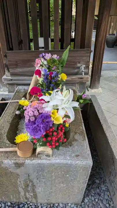 勝林寺(京都府)