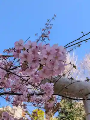 鳩森八幡神社(東京都)