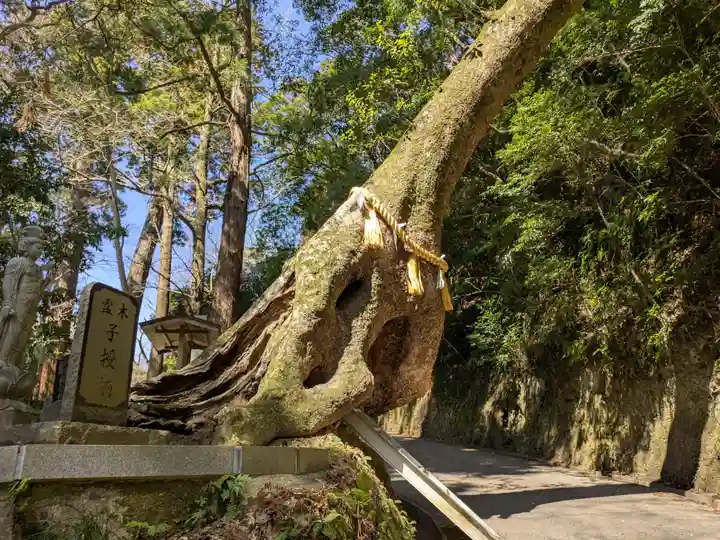 笠森寺(千葉県)