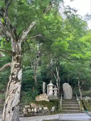 珍蔵寺　(山形県)