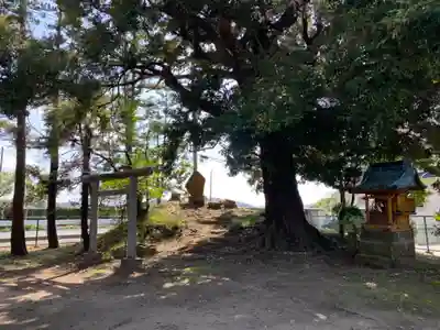 柏原神社(千葉県)