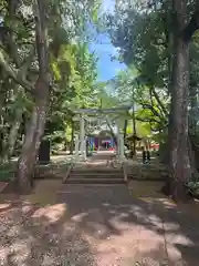 麻賀多神社(千葉県)