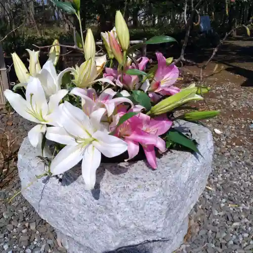 厚別神社(北海道)