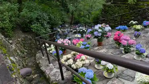 長谷寺(奈良県)