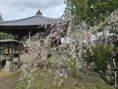 慈尊院(和歌山県)