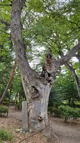 善光寺(長野県)