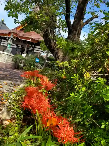 如宝寺(福島県)