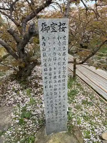 仁和寺の{uncategorized: "未分類", other: "その他", undefined: "問題あり", building: "その他建物", grave: "お墓", sacred_gate: "鳥居", guardian: "狛犬", statue: "像", buddha: "仏像", history: "歴史", nature: "自然", garden: "庭園", animal: "動物", pagoda: "塔", temizu: "手水舎", mountain_gate: "山門・神門", sanctuary: "本殿・本堂", subordinate: "末社・摂社", art: "芸術", scenery: "景色", jizo: "地蔵", ema: "絵馬", goshuin: "御朱印", omikuji: "おみくじ", items: "授与品その他", amulet: "お守り", goshuincho: "御朱印帳", eats: "食事", festival: "お祭り", votive_dance: "神楽", shichigosan: "七五三参", wedding: "結婚式", experience: "体験その他", initially: "初詣", around: "周辺", anti_infection: "感染症対策"}