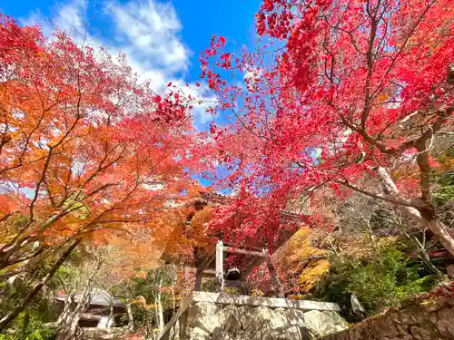 東光寺(滋賀県)