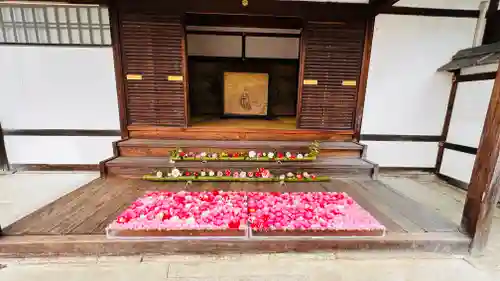 霊鑑寺門跡(京都府)