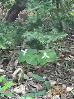 端野神社(北海道)
