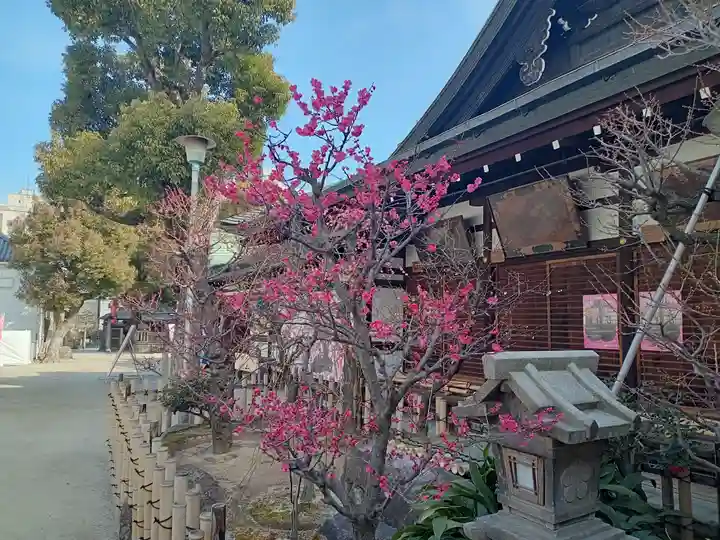 大阪天満宮の自然