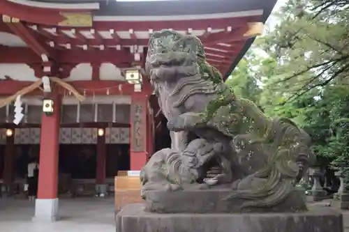 越ヶ谷久伊豆神社の狛犬