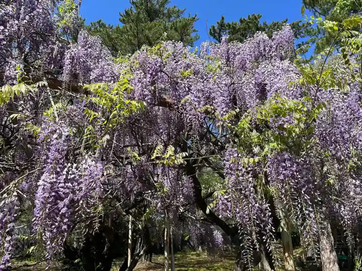 松陰神社の自然