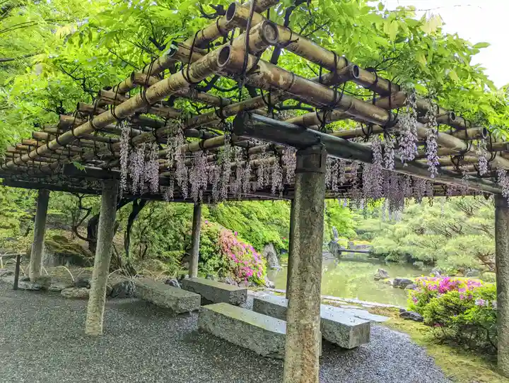 城南宮(京都府)