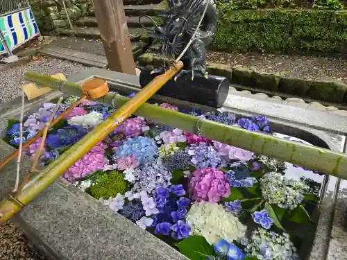 事任八幡宮(静岡県)