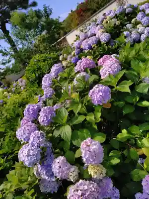 南蔵院(東京都)