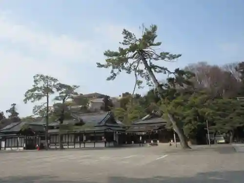 長浜八幡宮の建物その他