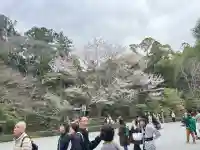 伊勢神宮内宮(皇大神宮)の{uncategorized: "未分類", other: "その他", undefined: "問題あり", building: "その他建物", grave: "お墓", sacred_gate: "鳥居", guardian: "狛犬", statue: "像", buddha: "仏像", history: "歴史", nature: "自然", garden: "庭園", animal: "動物", pagoda: "塔", temizu: "手水舎", mountain_gate: "山門・神門", sanctuary: "本殿・本堂", subordinate: "末社・摂社", art: "芸術", scenery: "景色", jizo: "地蔵", ema: "絵馬", goshuin: "御朱印", omikuji: "おみくじ", items: "授与品その他", amulet: "お守り", goshuincho: "御朱印帳", eats: "食事", festival: "お祭り", votive_dance: "神楽", shichigosan: "七五三参", wedding: "結婚式", experience: "体験その他", initially: "初詣", around: "周辺", anti_infection: "感染症対策"}