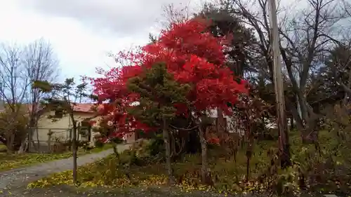 江部乙神社の自然