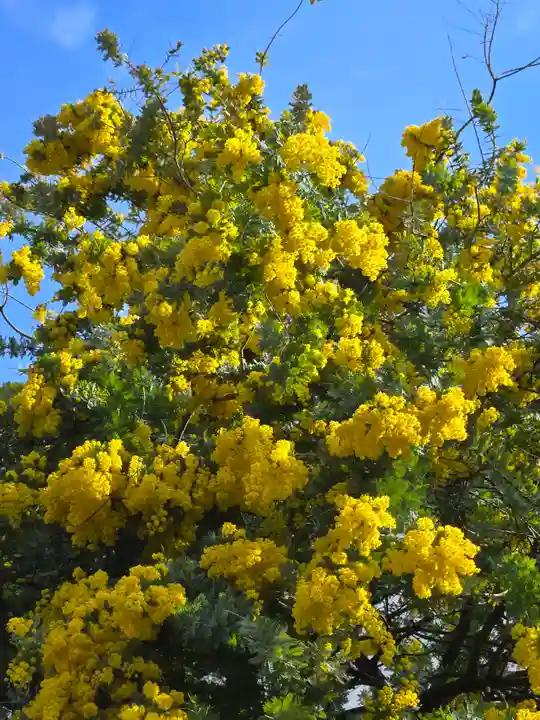蔵前神社(東京都)