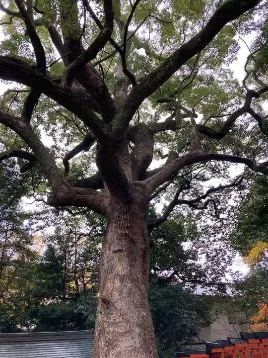 大市八幡神社(兵庫県)