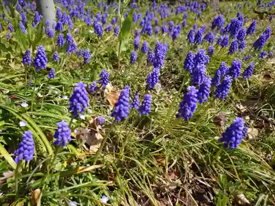 熊野神社(福島県)