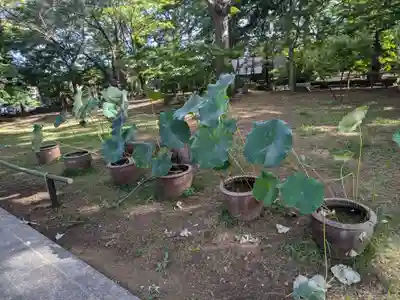 淨眞寺(東京都)