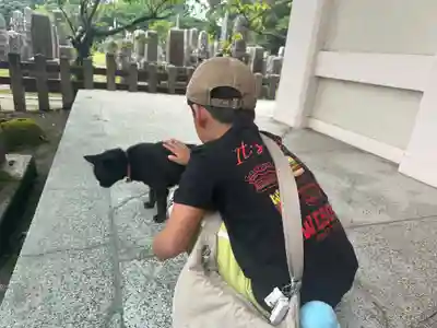 南州神社(鹿児島県)