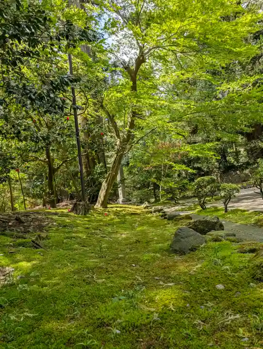 彌彦神社の{uncategorized: "未分類", other: "その他", undefined: "問題あり", building: "その他建物", grave: "お墓", sacred_gate: "鳥居", guardian: "狛犬", statue: "像", buddha: "仏像", history: "歴史", nature: "自然", garden: "庭園", animal: "動物", pagoda: "塔", temizu: "手水舎", mountain_gate: "山門・神門", sanctuary: "本殿・本堂", subordinate: "末社・摂社", art: "芸術", scenery: "景色", jizo: "地蔵", ema: "絵馬", goshuin: "御朱印", omikuji: "おみくじ", items: "授与品その他", amulet: "お守り", goshuincho: "御朱印帳", eats: "食事", festival: "お祭り", votive_dance: "神楽", shichigosan: "七五三参", wedding: "結婚式", experience: "体験その他", initially: "初詣", around: "周辺", anti_infection: "感染症対策"}