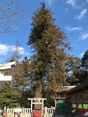 大杉神社のその他建物