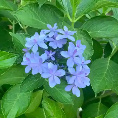 仁玄寺(北海道)
