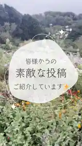 【公式】龍門院常楽寺(秩父札所十一番)(埼玉県)(2024年11月27日(水) 11時58分22秒投稿)