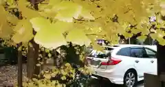 稗田野神社(薭田野神社)の自然