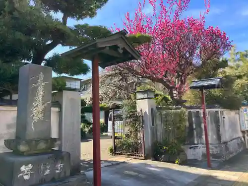 善性寺(神奈川県)