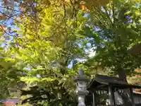 温泉神社~磐梯熱海温泉~の自然