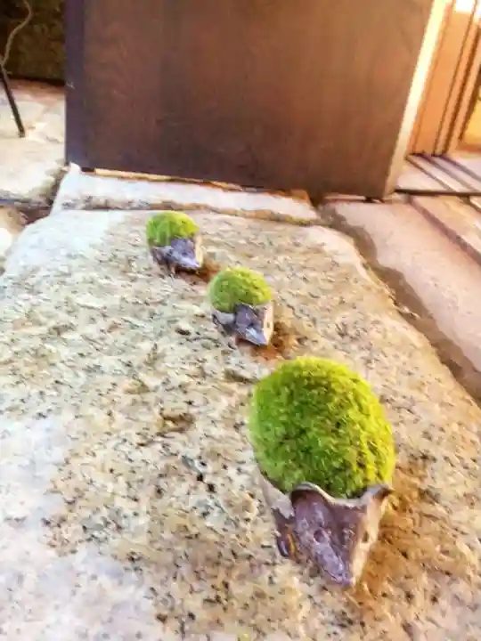 陽運寺(東京都)