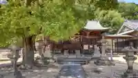 亀島神社の本殿・本堂