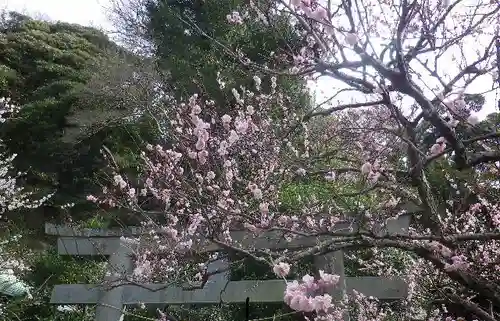 荏柄天神社のその他建物
