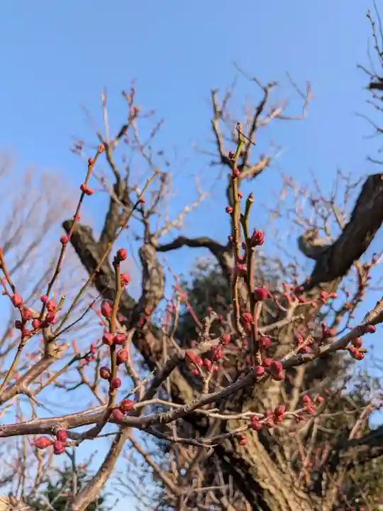 瑞円寺(東京都)