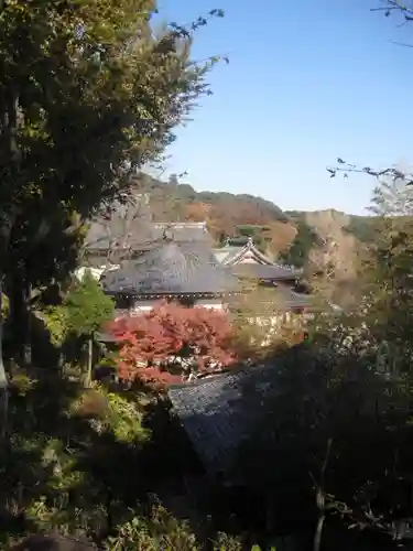 長谷寺のその他建物