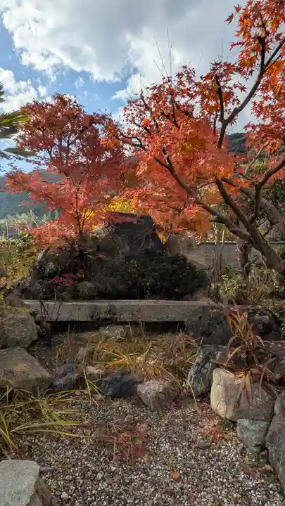 西向寺(京都府)