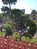 清水観音堂の庭園