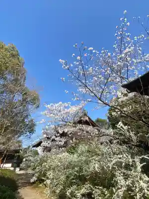 海龍王寺の景色