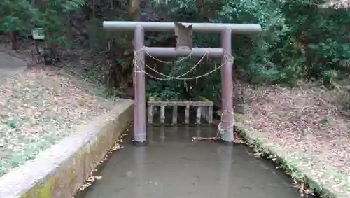 愛宕神社の鳥居