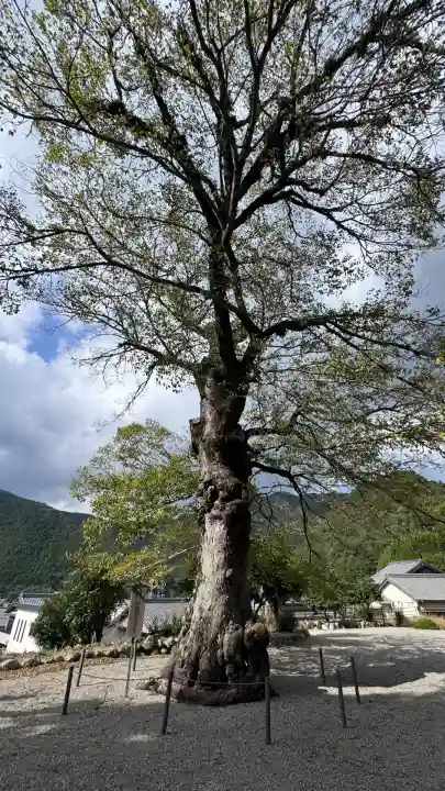 宝蔵寺(三重県)