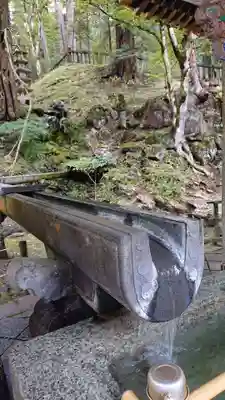 日光山輪王寺 大猷院の手水舎