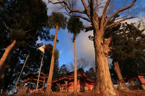 阿久津「田村神社」（郡山市阿久津町）旧社名：伊豆箱根三嶋三社の景色