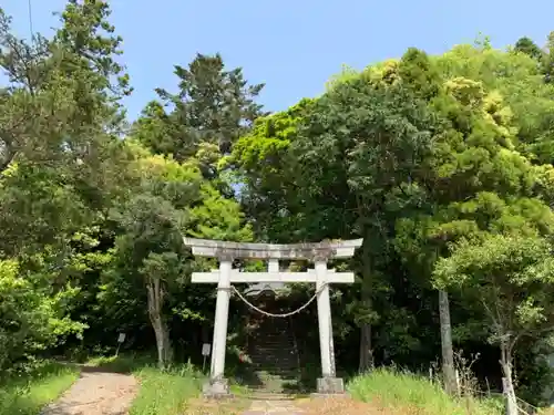 天御中主神社の鳥居