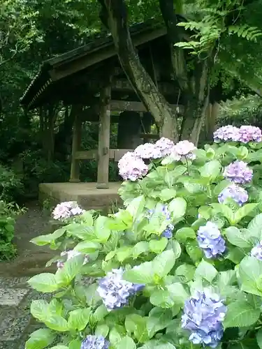 瑞泉寺の庭園